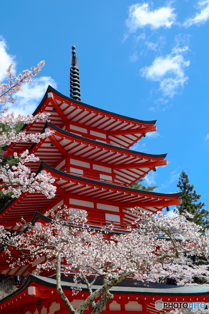 桜と忠霊塔
