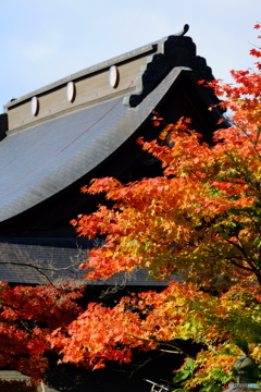 紅葉と虚空蔵堂