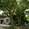 DSC00664