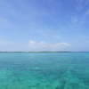 DSC00648