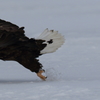 4G8A4534