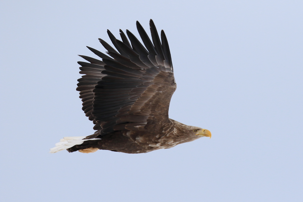 4G8A4473