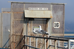 4G8A0055