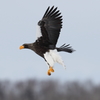 4G8A4979