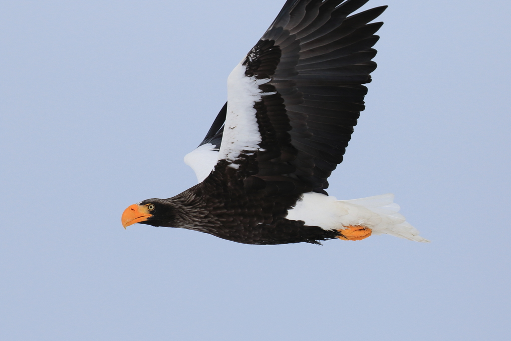 4G8A4696