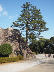 P1020023