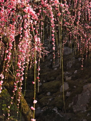 P2190017