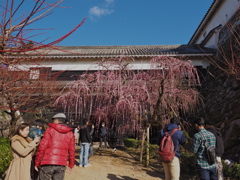 P2190016