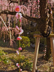 P2190019
