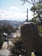 P1150037