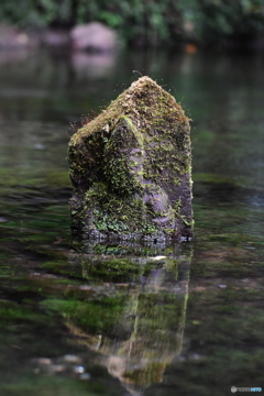 池山水源