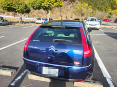 IMG_20230311_155955