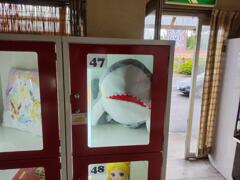 IMG_20220924_121823