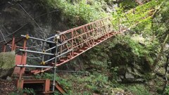IMG_20231008_100406