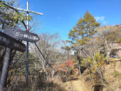 IMG_20221023_131850