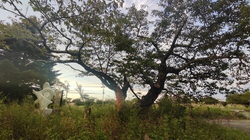 IMG_20230923_172741
