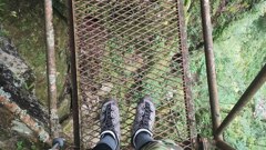 IMG_20231008_114919