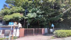 IMG_20230817_122355