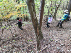 IMG_20221023_151900
