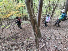 IMG_20221023_151900