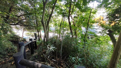 IMG_20230817_122118