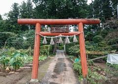 20201202144125