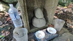 IMG_20230817_122149