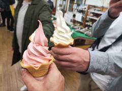 IMG_20230311_160537