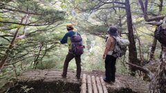 IMG_20231008_112016