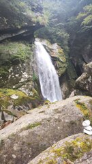 IMG_20231008_121234