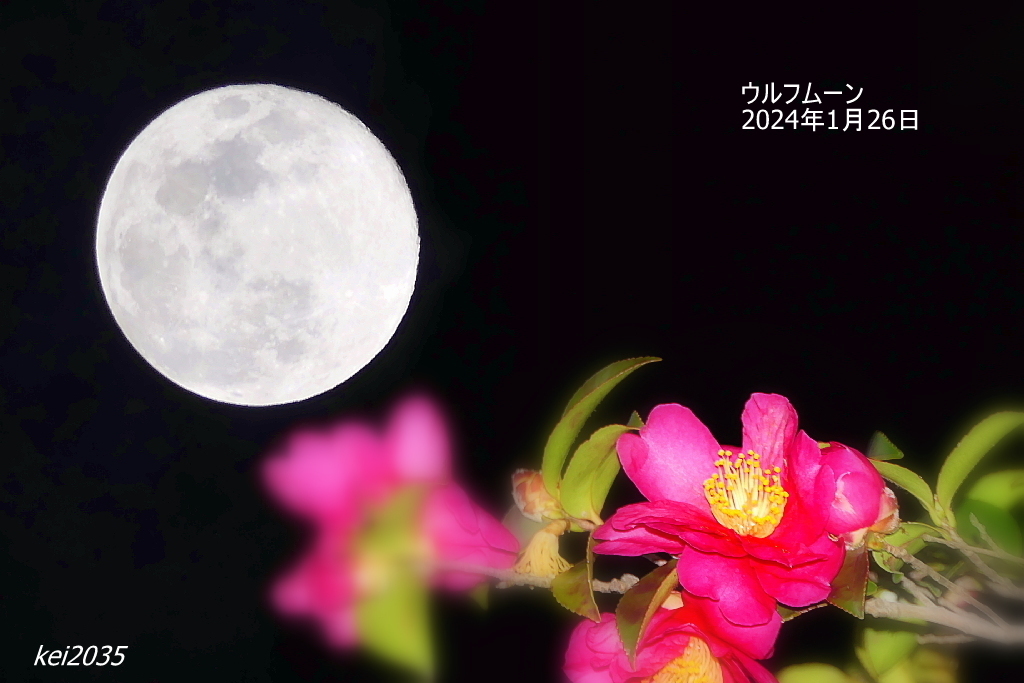 2024年1月26日ウルフムーンNO.2