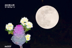 2023年12月コールドムーン
