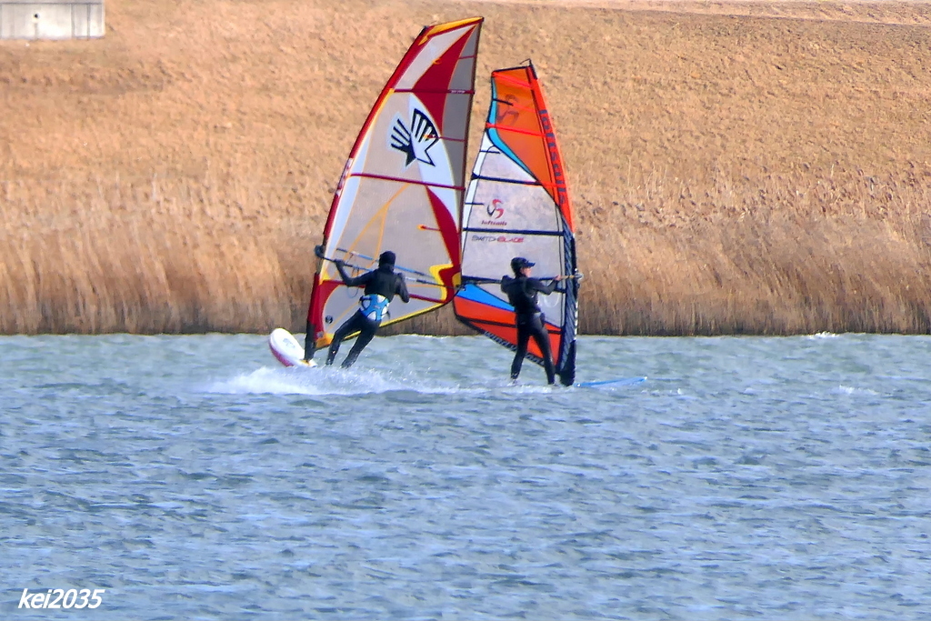ウインドサーフィン