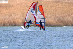 ウインドサーフィン