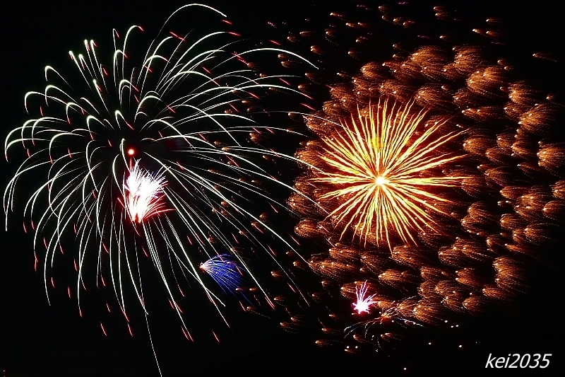 ２０１９冬花火