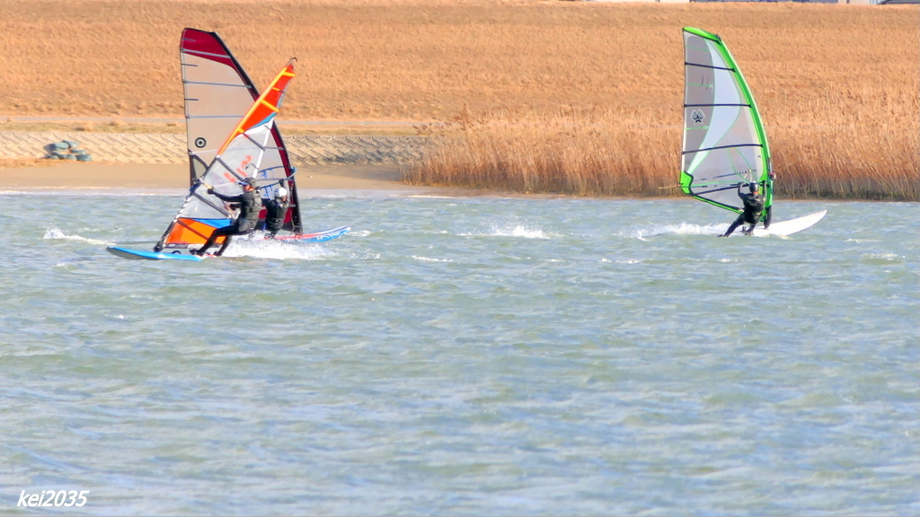  ウインドサーフィン