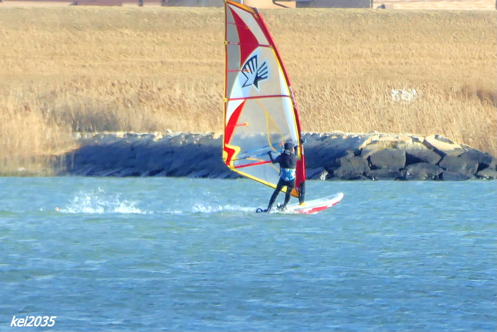 ウインドサーフィン 