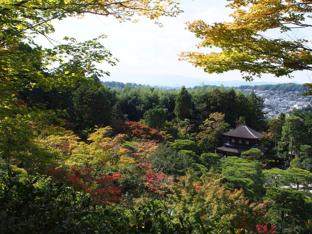 銀閣寺初秋