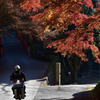 今熊野観音参道