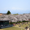 富山環水公園のスタバ