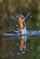 水出