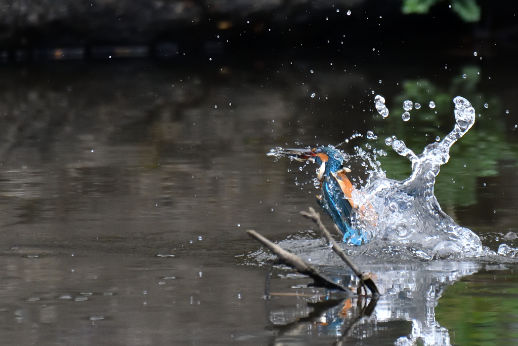 水の衣を纏って