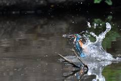水の衣を纏って