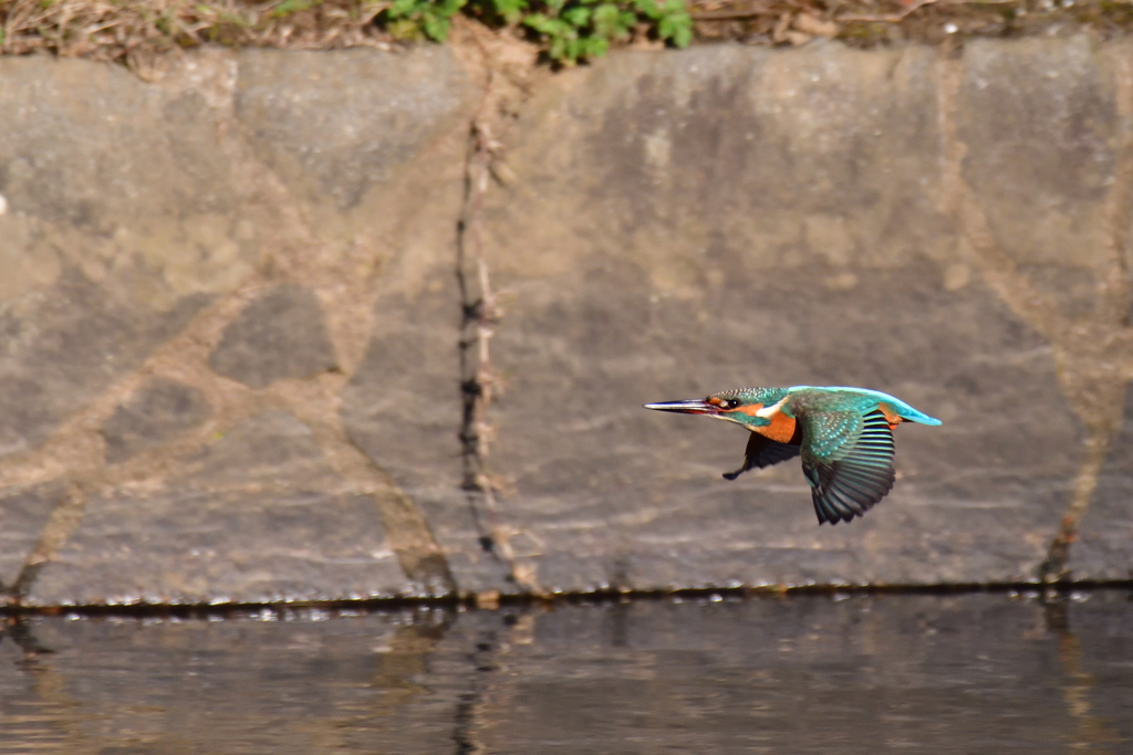 急がなくっちゃ！