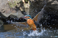 水飛沫なんて大嫌いだ～！