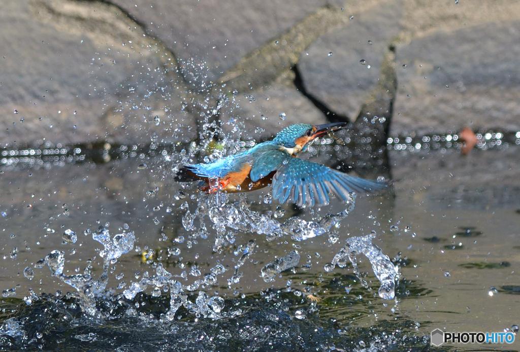 水出　後ろ姿ですが・・・(^_^;)