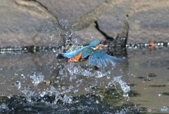 水出　後ろ姿ですが・・・(^_^;)