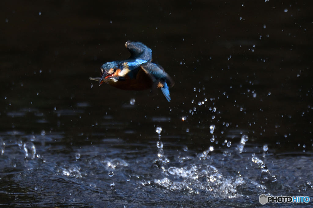 暗闇から睨む！