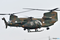 OH-6D