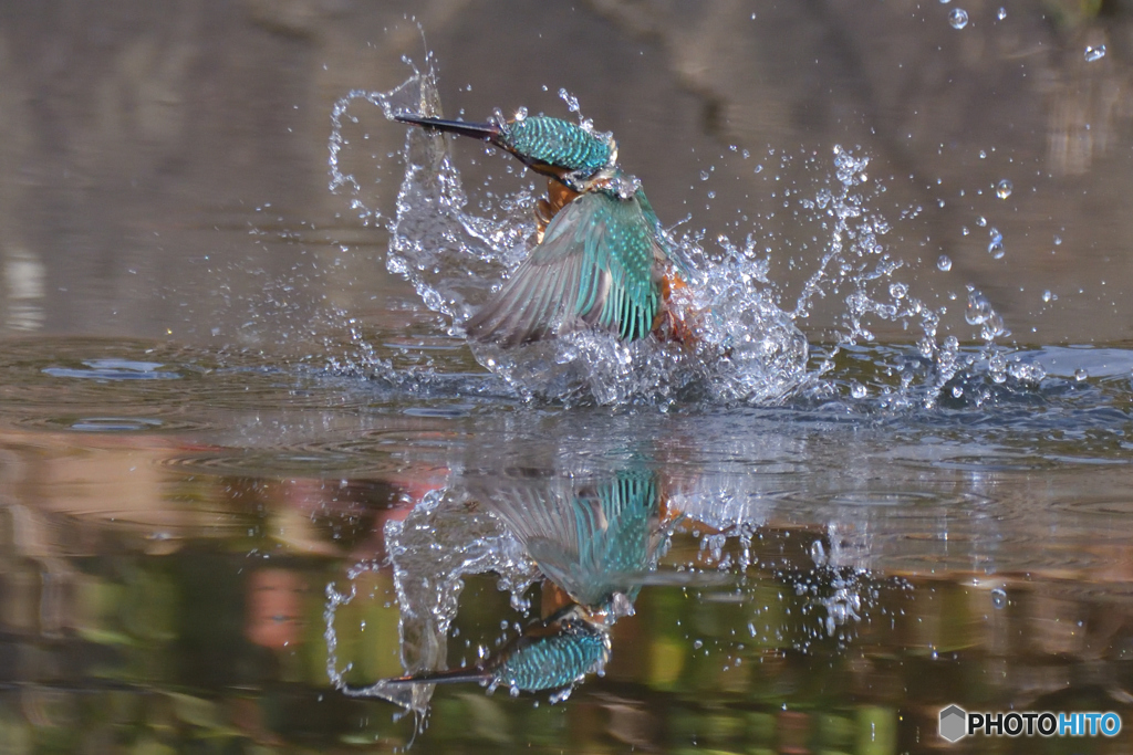 水鏡擬き